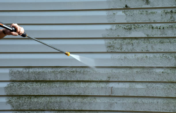 Best Deck Cleaning Services  in Manning, IA