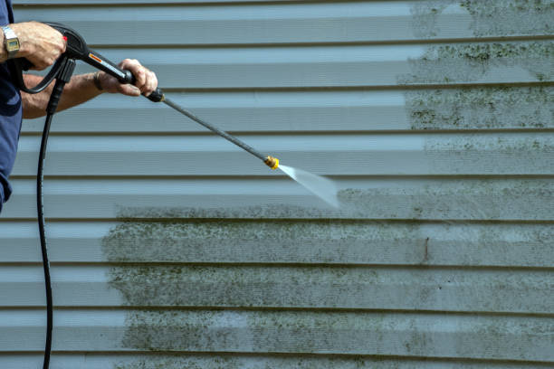 Deck Cleaning Services in Manning, IA