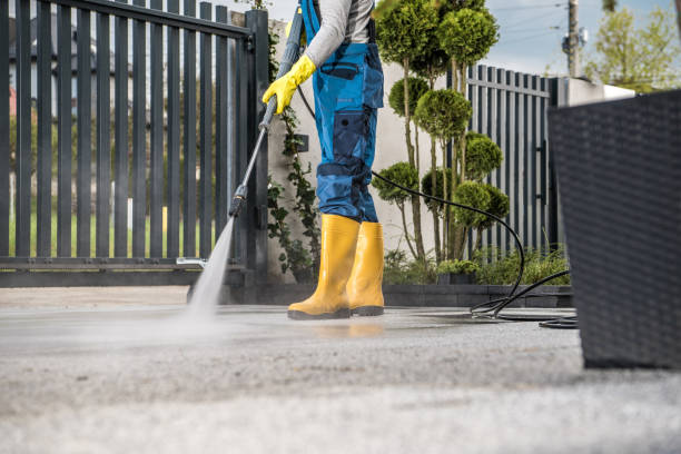 Best Roof Power Washing Services  in Manning, IA